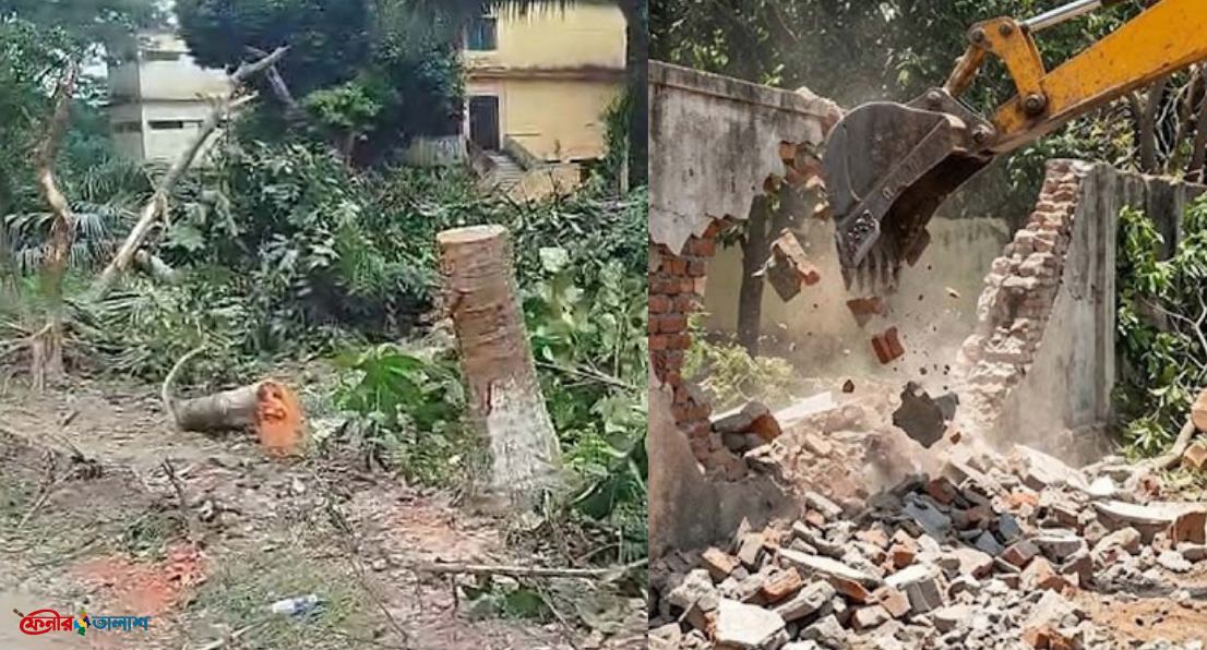 বিএনপি নেতার বাড়িতে ভাঙচুর, শতাধিক গাছ কেটে ফেলল দুর্বৃত্তরা