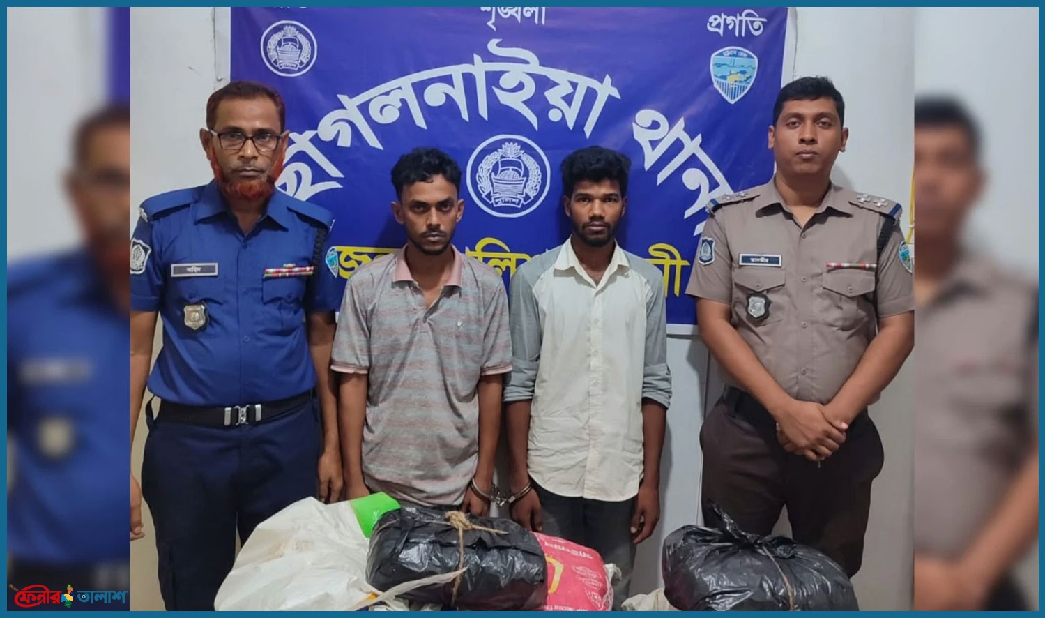 ছাগলনাইয়ায় বসতঘরের মাচায় মিলল ৩০ কেজি গাঁজা, গ্রেপ্তার ২
