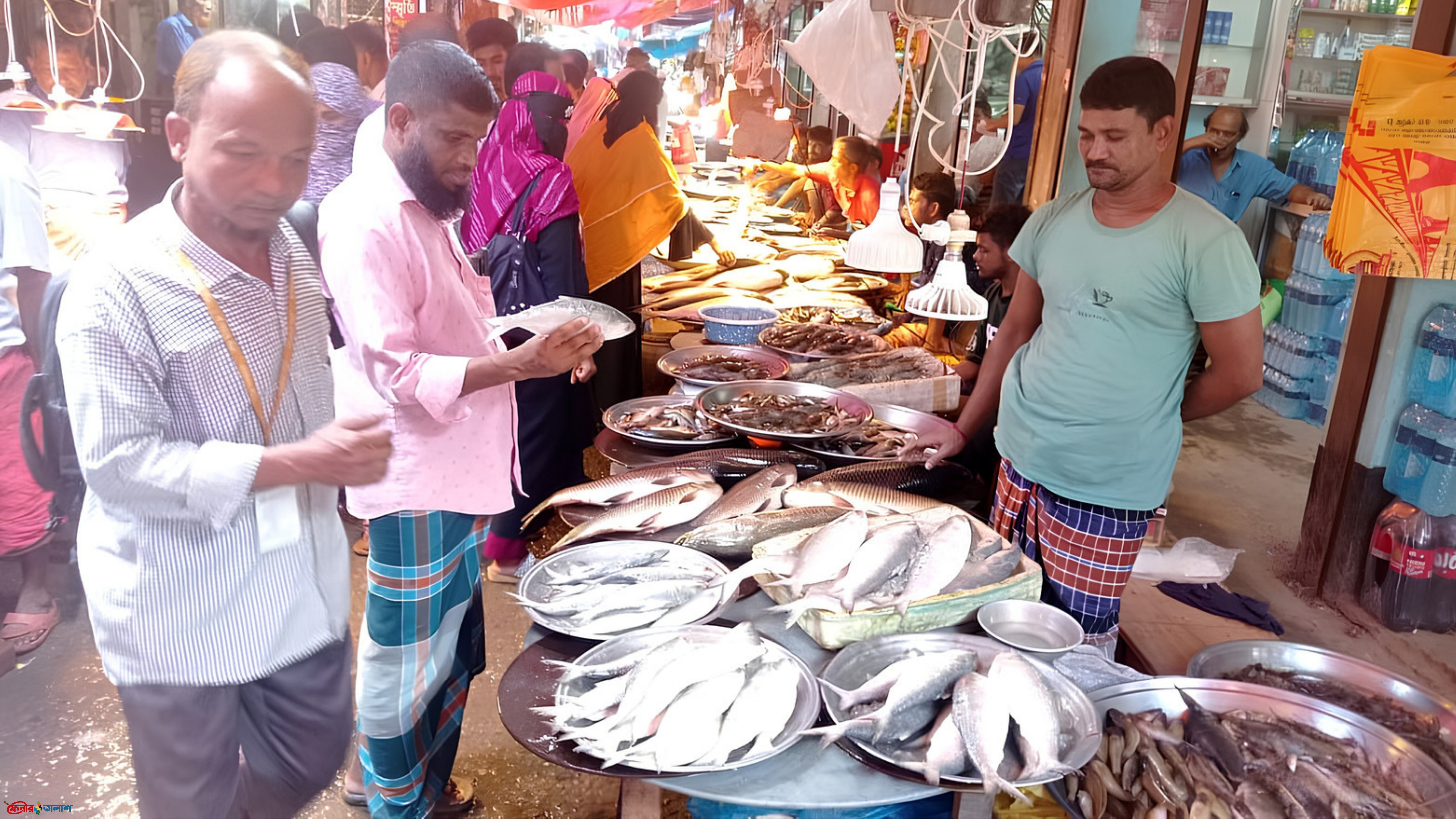 বাজারে সরবরাহ থাকলেও পাতে ওঠার সাধ্য নেই ইলিশের 