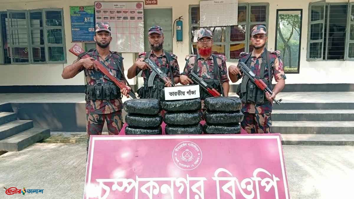 ফেনী সীমান্তে ২০ কেজি ভারতীয় গাঁজা জব্দ